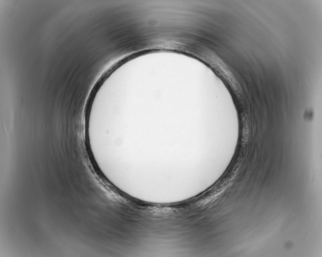 X0000098170940200805221512