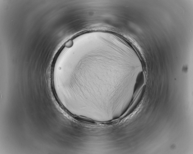 X0000098170941200805221512