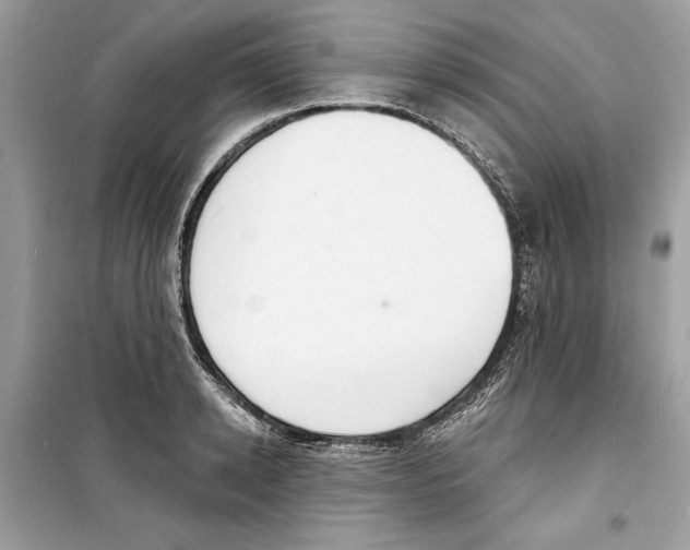 X0000098170942200805221512