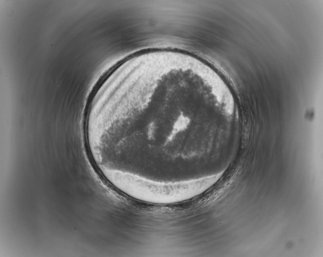 X0000098170943200805221512