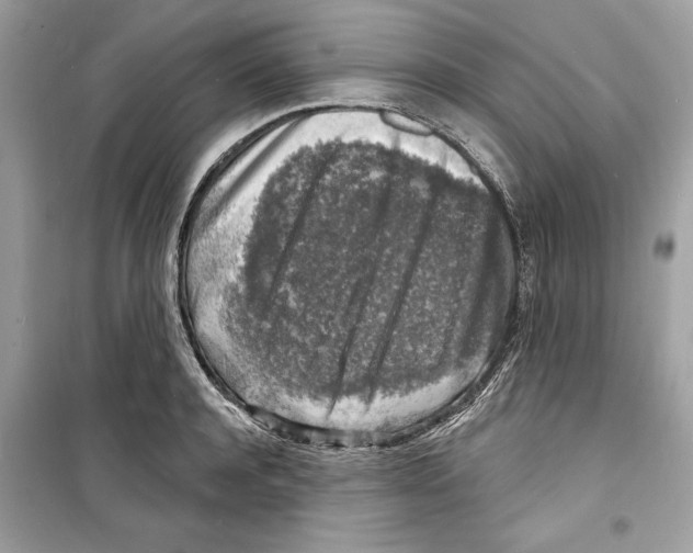 X0000098170944200805221512