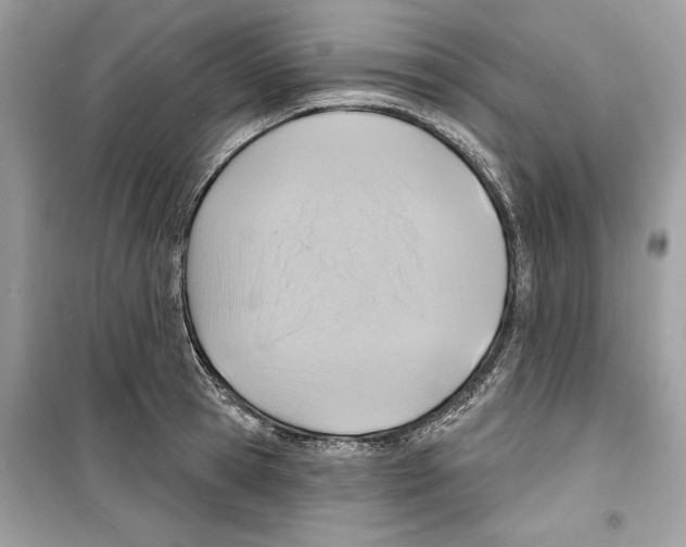 X0000098170945200805221512