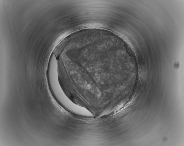 X0000098170946200805221512