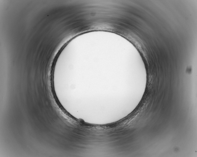 X0000098170947200805221512