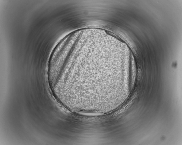 X0000098170948200805221512