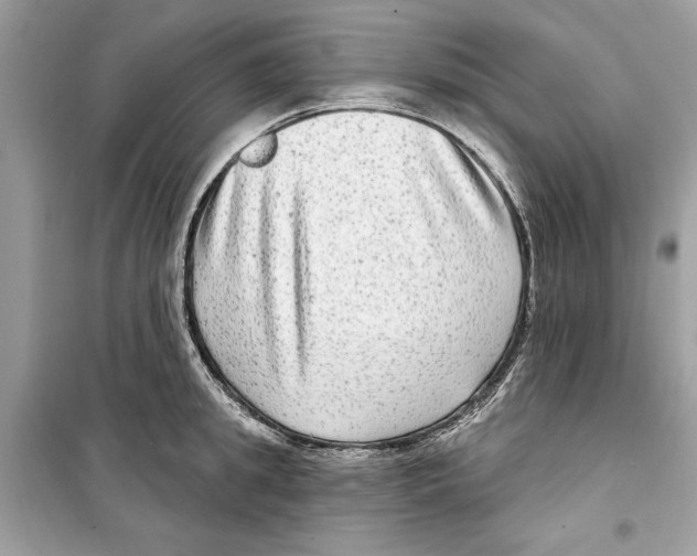 X0000098170949200805221512