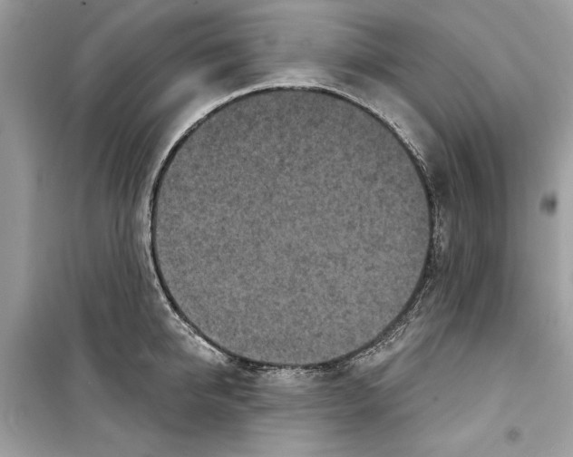 X0000098170950200805221512