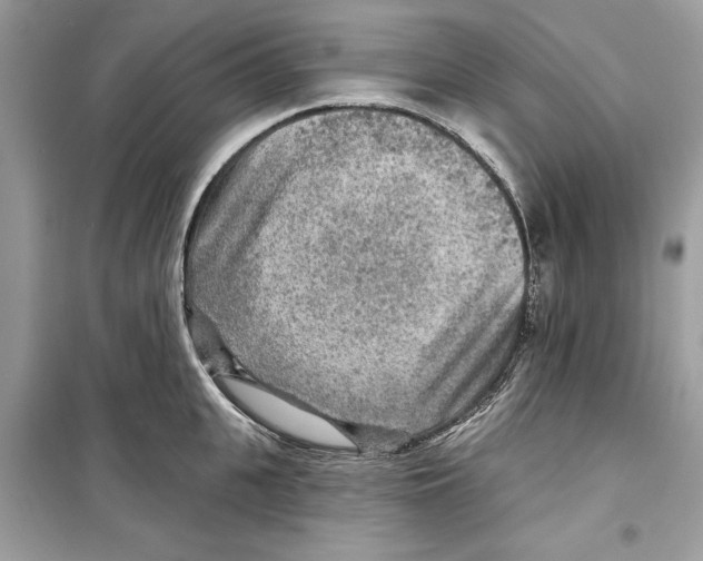 X0000098170951200805221512