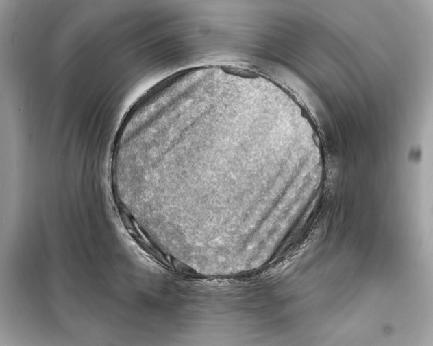 X0000098170952200805221512