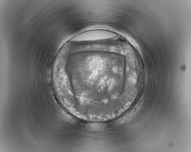 X0000098170953200805221512