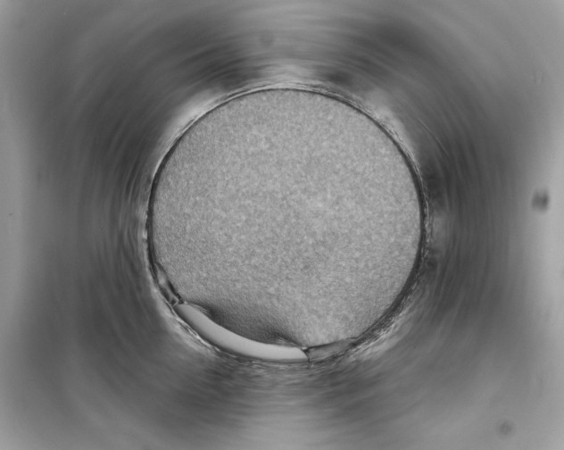 X0000098170954200805221512