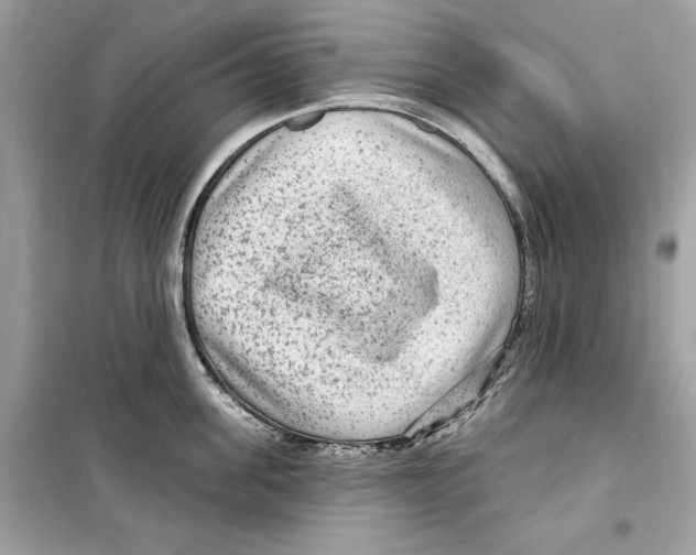 X0000098170955200805221512