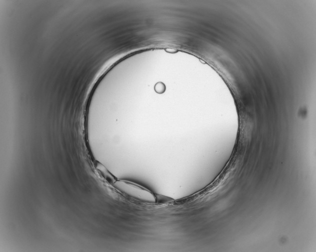 X0000098170956200805221512