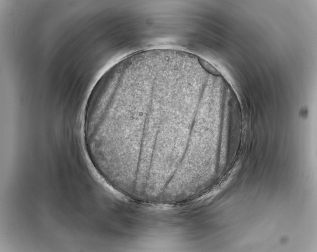 X0000098170957200805221512