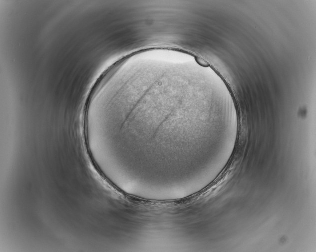 X0000098170958200805221512