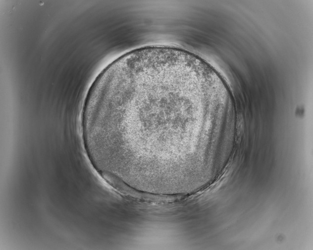 X0000098170959200805221512