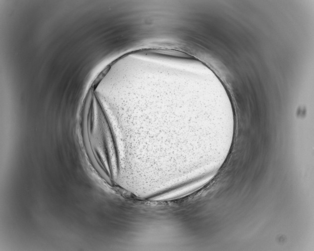 X0000098170960200805221512