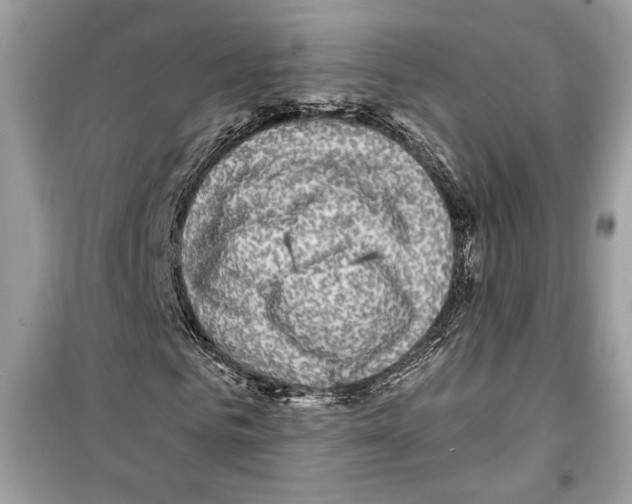 X0000098170961200805221512