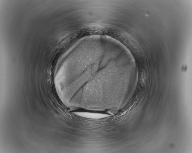 X0000098170964200805221512