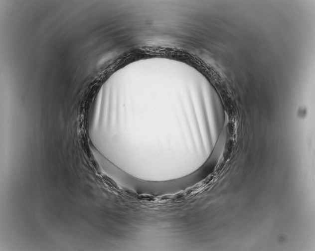 X0000098170965200805221512