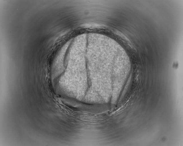 X0000098170966200805221512