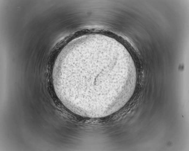 X0000098170967200805221512