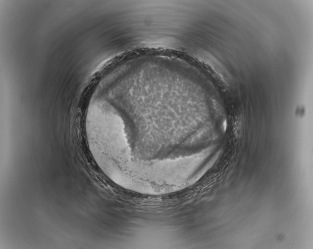 X0000098170968200805221512