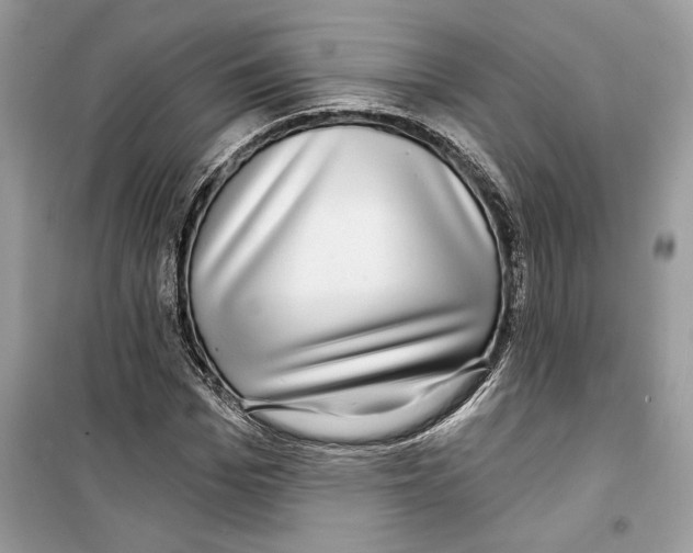 X0000098170969200805221512