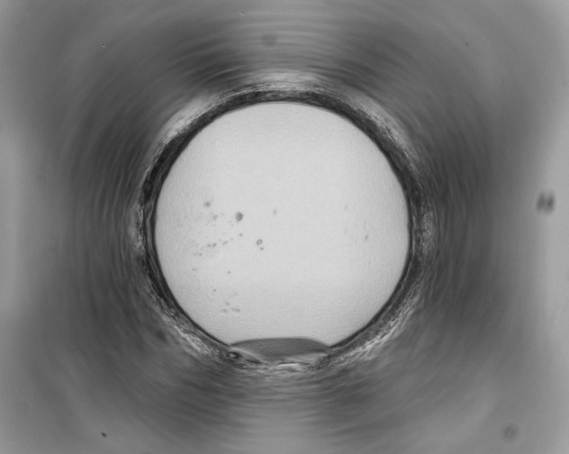 X0000098170970200805221512