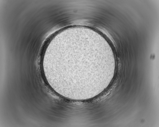 X0000098170971200805221511