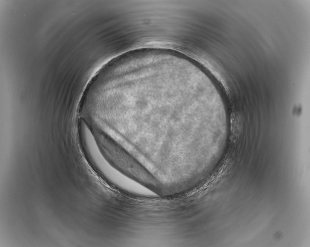 X0000098170972200805221511