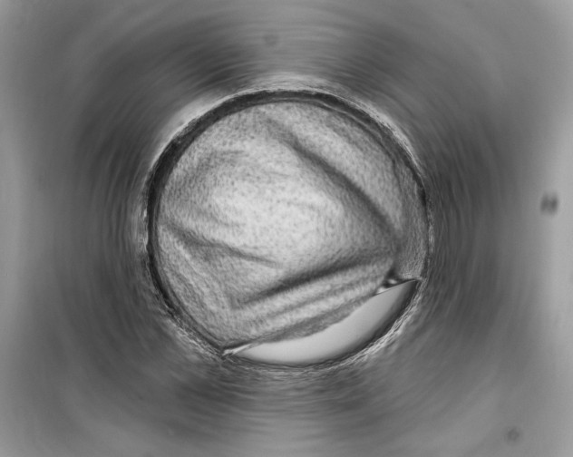 X0000098170973200805221511