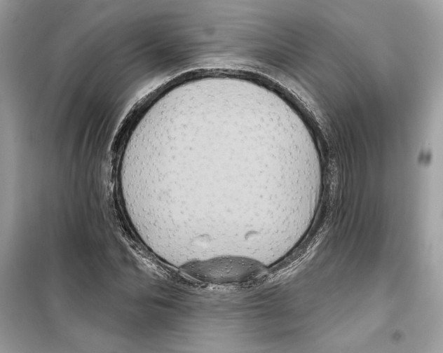 X0000098170974200805221511