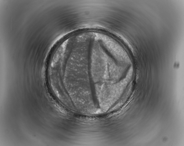 X0000098170975200805221511