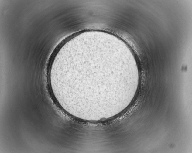 X0000098170976200805221511