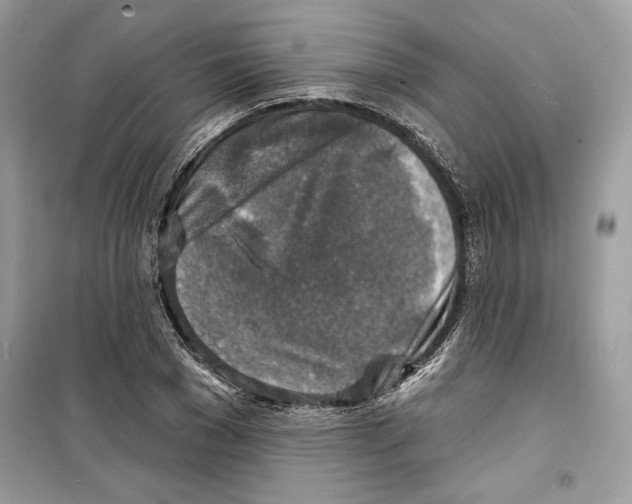 X0000098170977200805221511