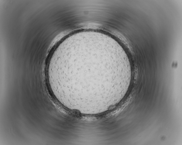 X0000098170978200805221511