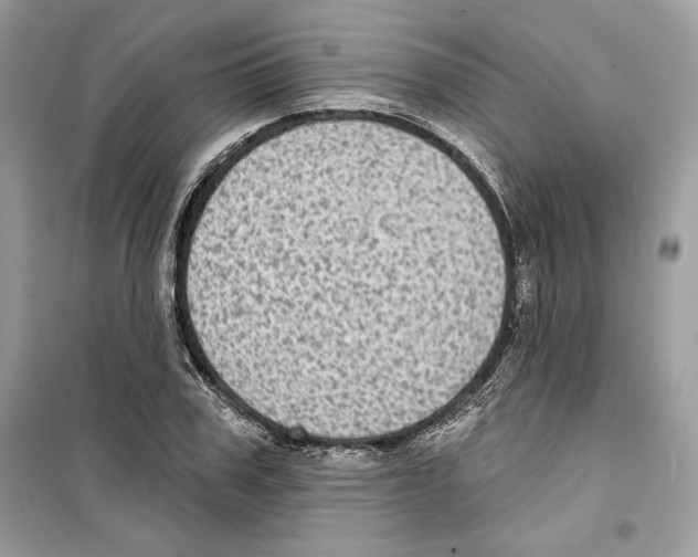 X0000098170979200805221511