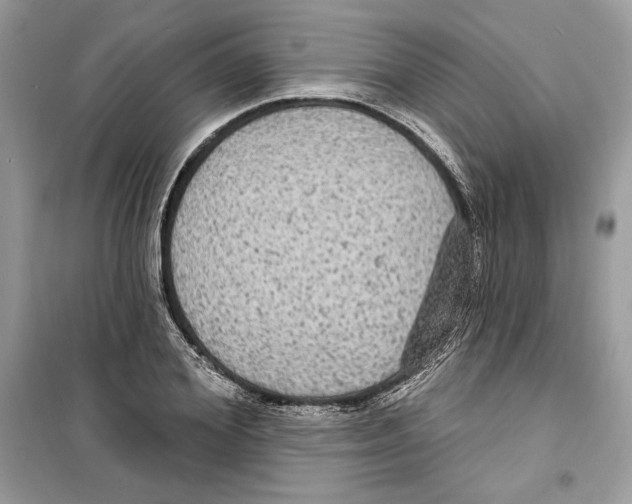 X0000098170980200805221511