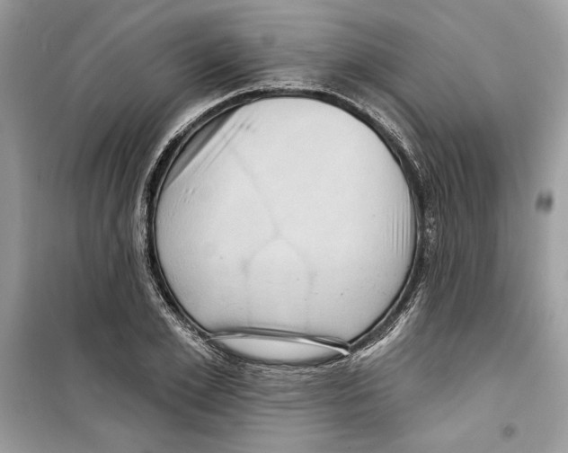 X0000098170981200805221511