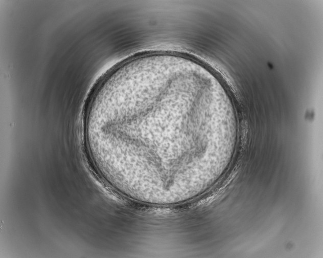 X0000098170982200805221511