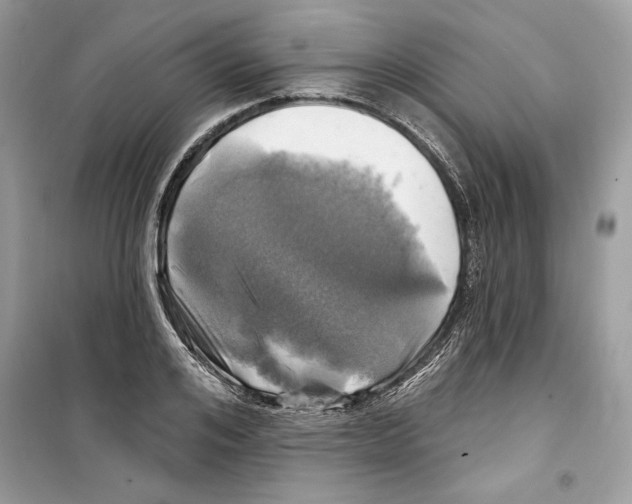 X0000098170984200805221511