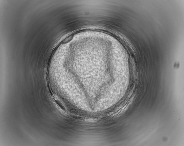 X0000098170985200805221511