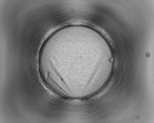 X0000098170986200805221511