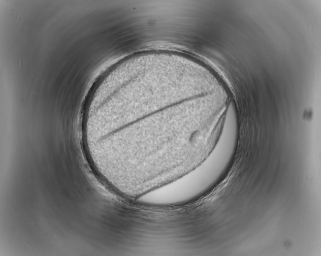 X0000098170987200805221511