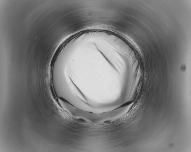 X0000098170988200805221511