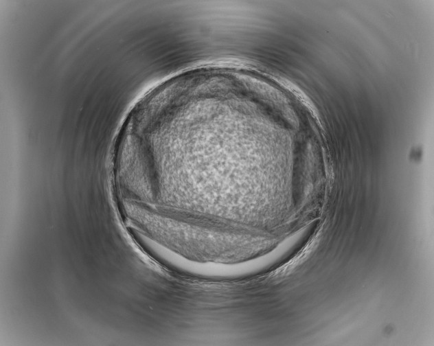 X0000098170989200805221511