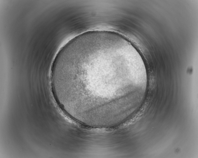 X0000098170990200805221511