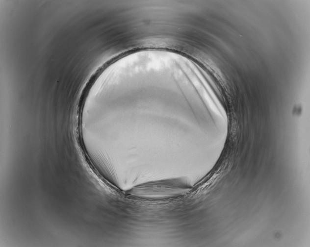 X0000098170992200805221511