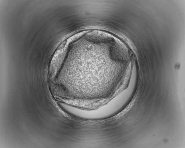 X0000098170993200805221511